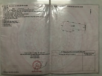 Chính chủ bán 2400m2 vườn kẹt trả nợ cho con Chính chủ bán 2400m2 vườn kẹt trả nợ cho con