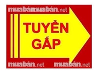 Tuyển gấp 01 NV nam/nữ từ 18-60 tuổi bán hàng, phụ kho tại TPHCM Tuyển gấp 01 NV nam/nữ từ 18-60 tuổi bán hàng, phụ kho tại TPHCM