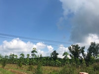Đất 2500M2 Ngay Khu Đô Thị 950 Triệu Vị Trí Miễn Chê Đất 2500M2 Ngay Khu Đô Thị 950 Triệu Vị Trí Miễn Chê