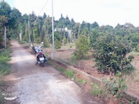 Chính Chủ Cần Bán Đất Vườn Tại Cẩm Mỹ, Đồng Nai. Chính Chủ Cần Bán Đất Vườn Tại Cẩm Mỹ, Đồng Nai.