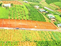 Nền biệt thự siêu đẹp, 250m2, sổ hồng riêng, xã Dambri, TP.Bảo Lộc