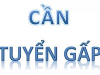 Tuyển gấp vị trí thu ngân, bán hàng Tuyển gấp vị trí thu ngân, bán hàng