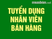 Siêu thị mini tuyển thêm nhân viên phụ bán hàng Siêu thị mini tuyển thêm nhân viên phụ bán hàng