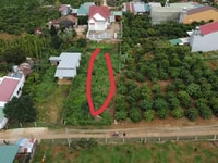 Bán lô đất nền hai mặt tiền Đường Lê Lai Thị Trấn Di Linh (12x44) Bán lô đất nền hai mặt tiền Đường Lê Lai Thị Trấn Di Linh (12x44)