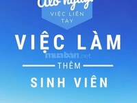 Cần thêm gấp 5 vị trí bán hàng linh hoạt tại đại lý khu vực quận Phú N Cần thêm gấp 5 vị trí bán hàng linh hoạt tại đại lý khu vực quận Phú N