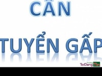 Tuyển nữ phụ bán hàng tại chỗ Tuyển nữ phụ bán hàng tại chỗ