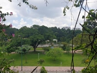 View Công Viên Gia Định BẠCH ĐẰNG-TÂN BÌNH Vỉa Hè Đá Bóng. View Công Viên Gia Định BẠCH ĐẰNG-TÂN BÌNH Vỉa Hè Đá Bóng.