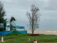 Đất nền ven biển Vĩnh Linh Quảng Trị giá rẻ chỉ 800 ngàn 1 mét vuông Đất nền ven biển Vĩnh Linh Quảng Trị giá rẻ chỉ 800 ngàn 1 mét vuông