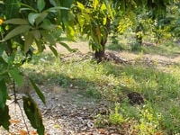 Bán Đât Ấp Bàu Phụng - Xã Phủ Lý - Vĩnh Cửu - Đồng Nai Bán Đât Ấp Bàu Phụng - Xã Phủ Lý - Vĩnh Cửu - Đồng Nai