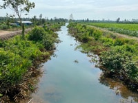 Bán gấp đất thổ cư Thủ Thừa, Long An Bán gấp đất thổ cư Thủ Thừa, Long An