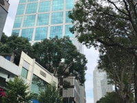 Cho thuê nguyên căn Mặt tiền Nguyễn Huệ - Phố đi bộ Q1 - Dt 300m2 Cho thuê nguyên căn Mặt tiền Nguyễn Huệ - Phố đi bộ Q1 - Dt 300m2