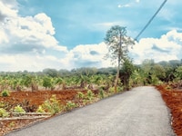 .Đất Phước bình kết nối Vedan Gò Dầu.giá chỉ 2km.chỉ từ 1,250tr/m2. .Đất Phước bình kết nối Vedan Gò Dầu.giá chỉ 2km.chỉ từ 1,250tr/m2.