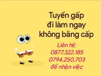 Tuyển lao động phổ thông quận Bình Tân Tuyển lao động phổ thông quận Bình Tân