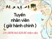 Không yêu cầu kinh nghiệm chỉ cần trung thực Không yêu cầu kinh nghiệm chỉ cần trung thực