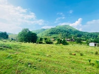 Cơ hội sở hữu ngay 6.424m2 đất thổ cư view tuyệt đỉnh tại Kim Bôi Cơ hội sở hữu ngay 6.424m2 đất thổ cư view tuyệt đỉnh tại Kim Bôi