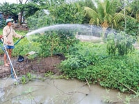 460 Triệu/1000m2 đất sạch không vướng quy hoạch, cách SG 8km 460 Triệu/1000m2 đất sạch không vướng quy hoạch, cách SG 8km