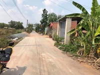 Bán Gấp Miếng Đất 1033m Ngay UBND xã Tân Phước Ngang 17m sát Chợ Bán Gấp Miếng Đất 1033m Ngay UBND xã Tân Phước Ngang 17m sát Chợ