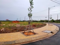 Cặp góc đẹp tại block Kim Cương Cặp góc đẹp tại block Kim Cương