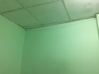 Cho thuê phòng trọ có gác toilet riêng Cho thuê phòng trọ có gác toilet riêng