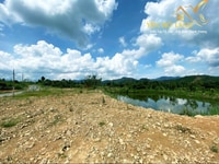 Cần bán đất đẹp xã Đại Lào, Thành phố Bảo Lộc, Lâm Đồng, giá hấp dẫn Cần bán đất đẹp xã Đại Lào, Thành phố Bảo Lộc, Lâm Đồng, giá hấp dẫn