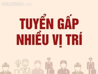 Ưu tiên anh chị sinh viên, công nhân thất nghiệp, mẹ bỉm sữa Ưu tiên anh chị sinh viên, công nhân thất nghiệp, mẹ bỉm sữa