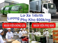 BÌNH DƯƠNG ==> Tuyển Gấp Lái Xe + Phụ Xe và Phụ Kho Bốc Xếp BÌNH DƯƠNG ==> Tuyển Gấp Lái Xe + Phụ Xe và Phụ Kho Bốc Xếp