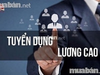 Việc làm cho anh chị trung niên, lớn tuổi Việc làm cho anh chị trung niên, lớn tuổi