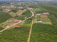 Bán đất đường Lý Thường Kiệt, Lộc Phát, Bảo Lộc đường xe hơi quay đầu Bán đất đường Lý Thường Kiệt, Lộc Phát, Bảo Lộc đường xe hơi quay đầu