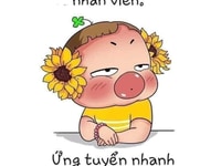 Tuyển gấp nhân viên dọn dẹp nhà cửa theo giờ Tuyển gấp nhân viên dọn dẹp nhà cửa theo giờ