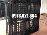 Phân phối pallet nhựa cũ tại Bình Dương Phân phối pallet nhựa cũ tại Bình Dương