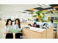 Tuyển 02 nhân viên văn thư làm chính thức Tuyển 02 nhân viên văn thư làm chính thức