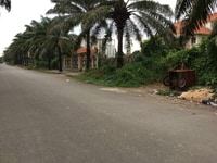 Bán nền biệt thự mặt tiền đường TRẦN VĂN GIÀU , KDC cồn khương , phườn Bán nền biệt thự mặt tiền đường TRẦN VĂN GIÀU , KDC cồn khương , phườn