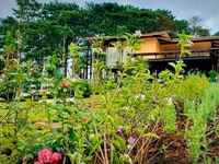 1,6 sào vườn cây ăn trái wiew sông núi Đại Bình cực đẹp 1,6 sào vườn cây ăn trái wiew sông núi Đại Bình cực đẹp