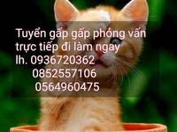 Đứng bán hàng,lấy hàng cho khách ( trực tiếp Tại Bách Hoá Tiện Ích ) Đứng bán hàng,lấy hàng cho khách ( trực tiếp Tại Bách Hoá Tiện Ích )