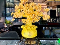 Vật phẩm Phong thủy HAPPY GEMS - Đá năng lượng thạch anh Vật phẩm Phong thủy HAPPY GEMS - Đá năng lượng thạch anh