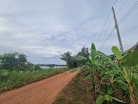 Cần bán đất diện tích 31.500m2 tại Tân An, TP. Thủ Dầu Một Cần bán đất diện tích 31.500m2 tại Tân An, TP. Thủ Dầu Một