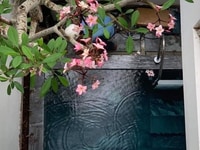 Cho thuê Villa hồ bơi 4 phòng ngủ Khu An Thượng Cho thuê Villa hồ bơi 4 phòng ngủ Khu An Thượng