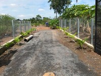 Tôi cần Bán gấp đất thổ vườn 1700m2 Hưng Long Tôi cần Bán gấp đất thổ vườn 1700m2 Hưng Long