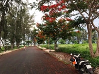 Đất hẻm xe hơi Đào Tông Nguyên,nở hậu,sát cv bờ sông,đã ép móng cọc Đất hẻm xe hơi Đào Tông Nguyên,nở hậu,sát cv bờ sông,đã ép móng cọc