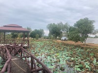 Bán đất khu trang trại vườn dọc kênh Sông Quao, view hồ Sen Bán đất khu trang trại vườn dọc kênh Sông Quao, view hồ Sen