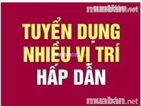Ưu tiên cho mẹ bỉm sữa và người lớn tuổi cv tạp vụ bán hàng Ưu tiên cho mẹ bỉm sữa và người lớn tuổi cv tạp vụ bán hàng