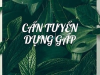 Tuyển gấp 05 nhân viên lao động phổ thông làm bán hàng trực tiếp Tuyển gấp 05 nhân viên lao động phổ thông làm bán hàng trực tiếp