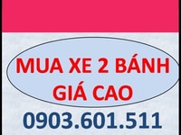 Cần mua xe 2 bánh giá cao BSTP/ BS tỉnh- Cần mua xe 2 bánh giá cao BSTP/ BS tỉnh-