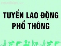 Tuyển lao động phổ thông tuổi từ 20 - 55 Tuyển lao động phổ thông tuổi từ 20 - 55