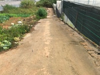 Cần bán đất hẻm bê tông xe hơi cách đường Hồ Xuân Hương 30m,view đẹp Cần bán đất hẻm bê tông xe hơi cách đường Hồ Xuân Hương 30m,view đẹp