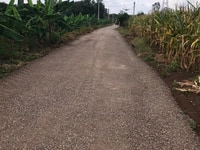 Cần bán lô đất 2000m cách chợ Suối Nho 1,5 km Cần bán lô đất 2000m cách chợ Suối Nho 1,5 km