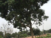 Đồi Nôm, Nhuận Trạch, Lương Sơn, Hòa Bình Đồi Nôm, Nhuận Trạch, Lương Sơn, Hòa Bình