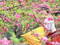 Nam/nữ làm trong quầy Siêu Thị / giờ hành chánh Nam/nữ làm trong quầy Siêu Thị / giờ hành chánh
