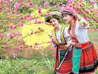 Tuyển NV nam/nữ tư vấn sản phẩm, bán hàng ưu tiên người lớn tuổi Tuyển NV nam/nữ tư vấn sản phẩm, bán hàng ưu tiên người lớn tuổi