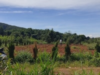 Bán lô đất 1990m2 có 25m mt, 200m2 thổ cư, giáp suối, tại Lâm Hà Bán lô đất 1990m2 có 25m mt, 200m2 thổ cư, giáp suối, tại Lâm Hà